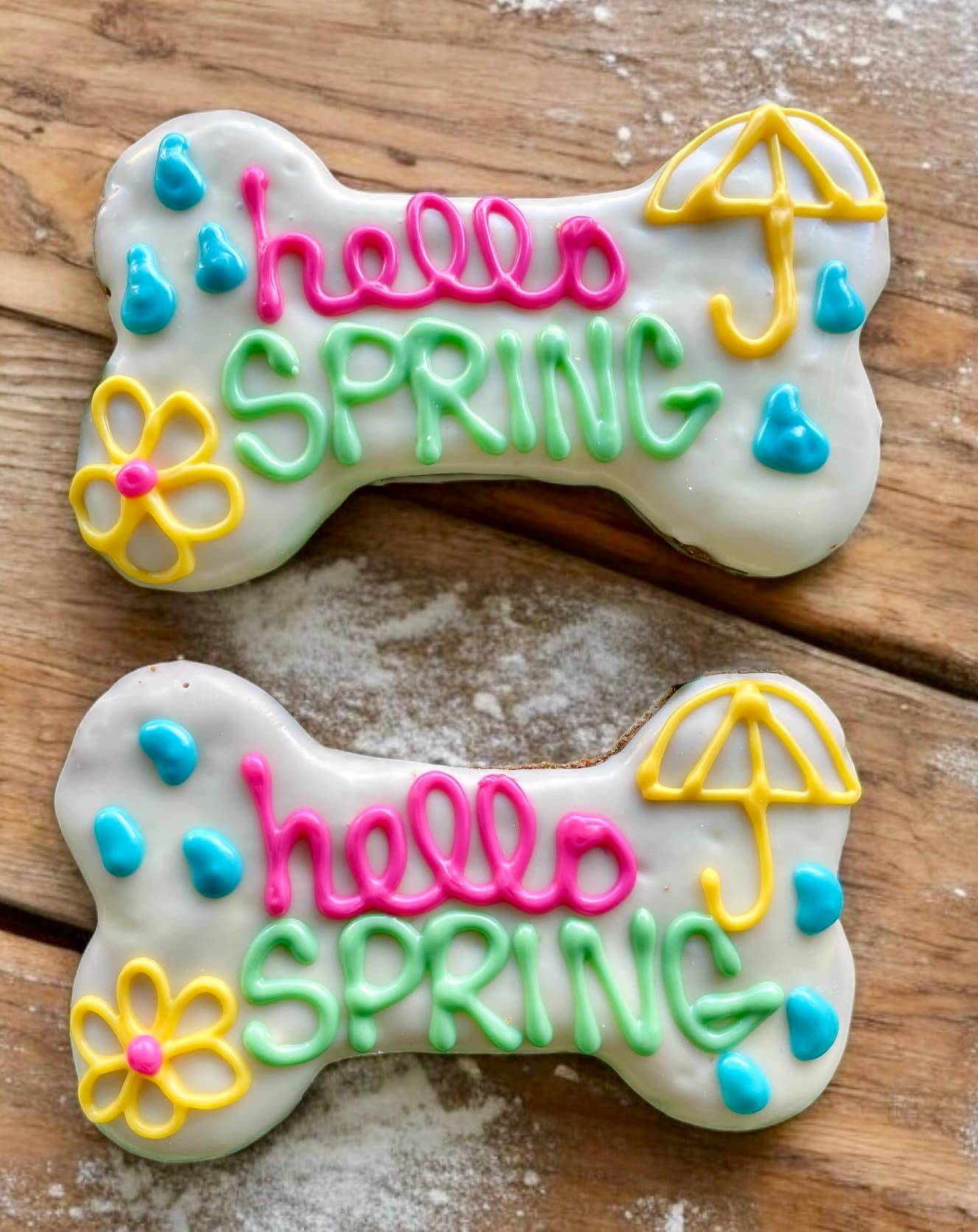 Hello Spring Large Biscuit