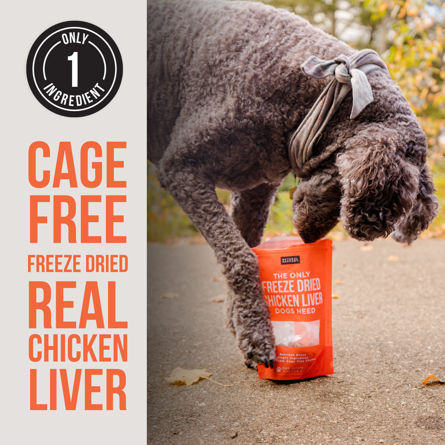 Freeze Dried Chicken Liver