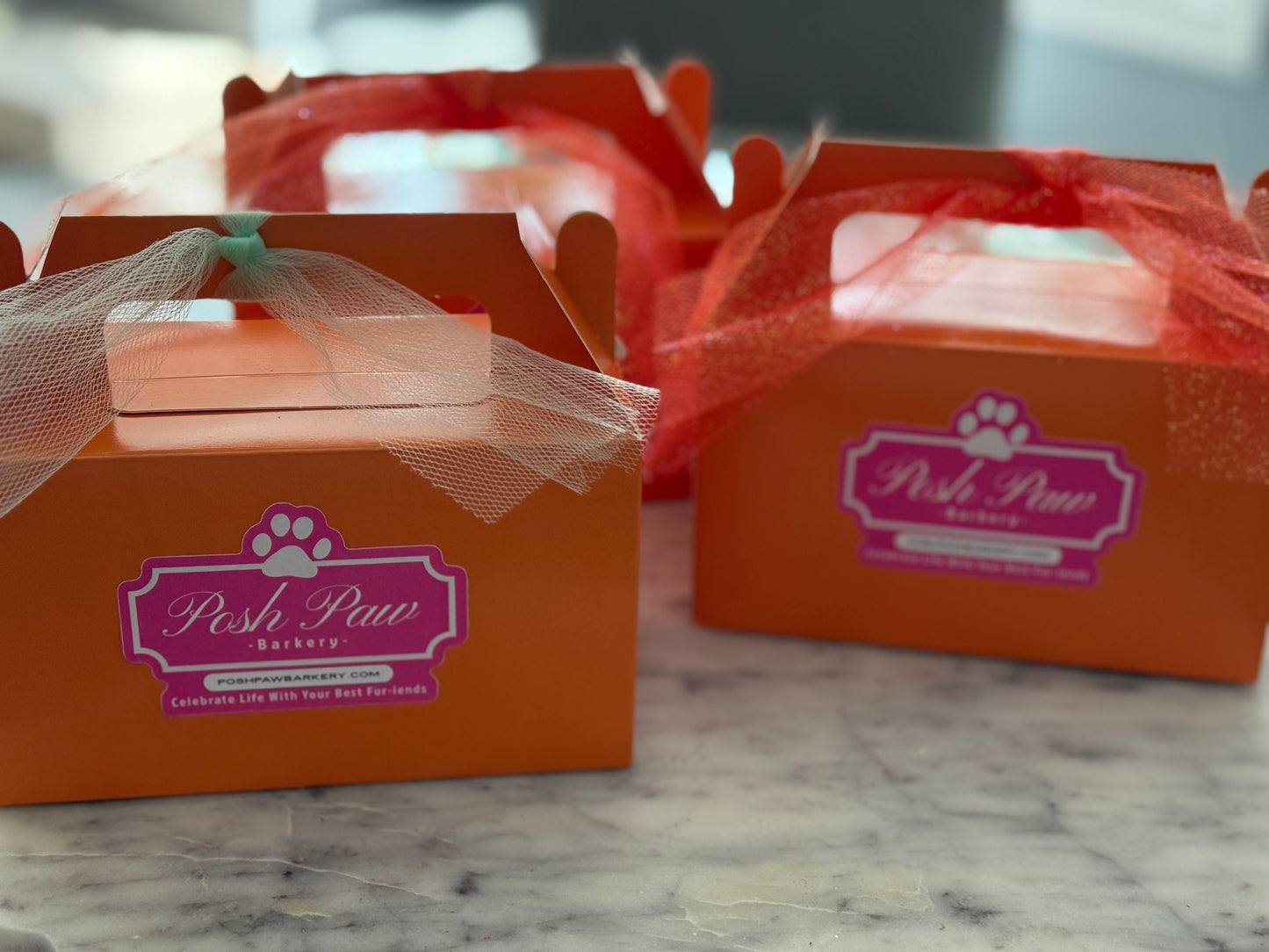 Treats for Tricks Box