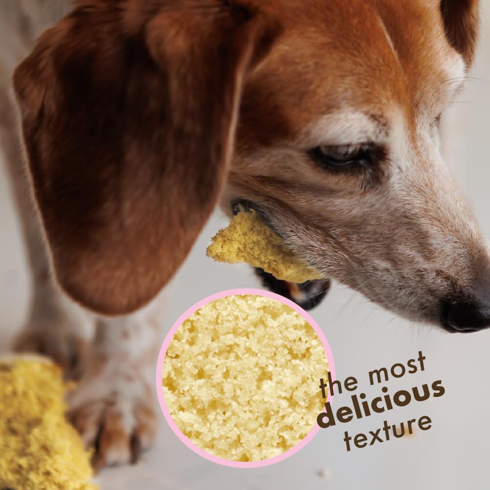 Dog Birthday Cake Kit: Birthday Cake with Pupfetti Sprinkles