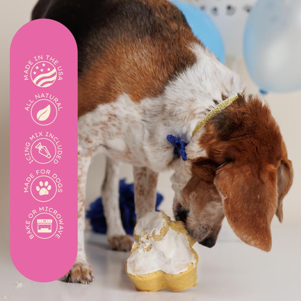 Dog Birthday Cake Kit: Birthday Cake with Pupfetti Sprinkles