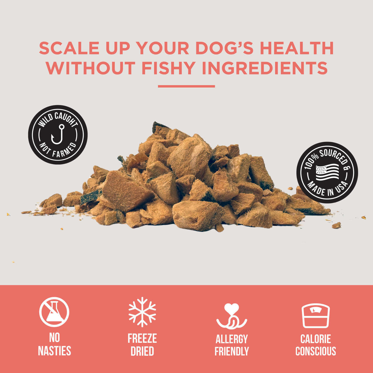 Freeze Dried Salmon Bites