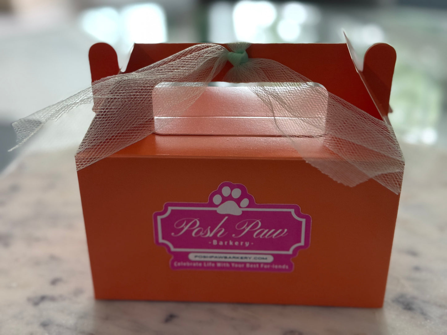 Treats for Tricks Box