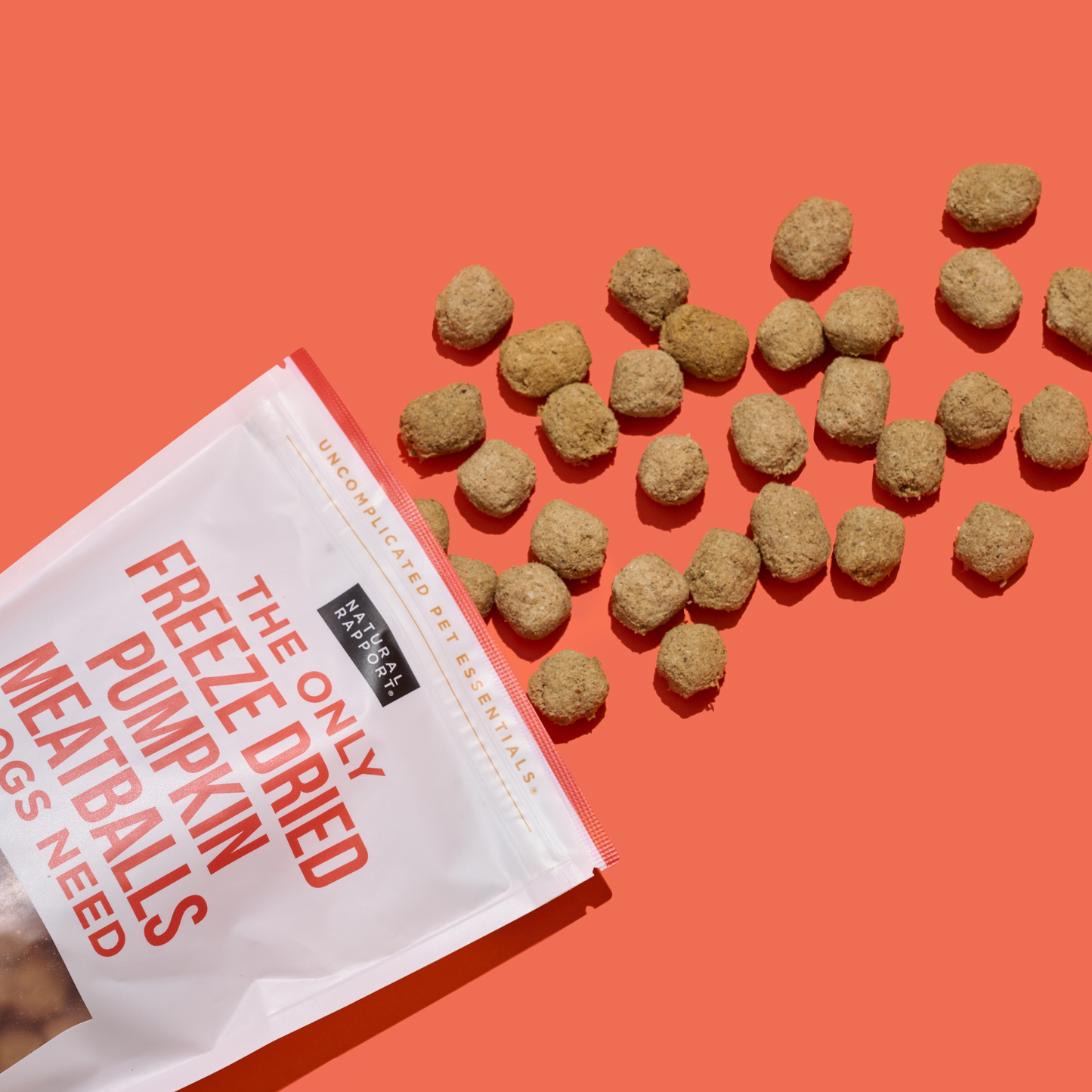 Freeze Dried Pumpkin Meatballs