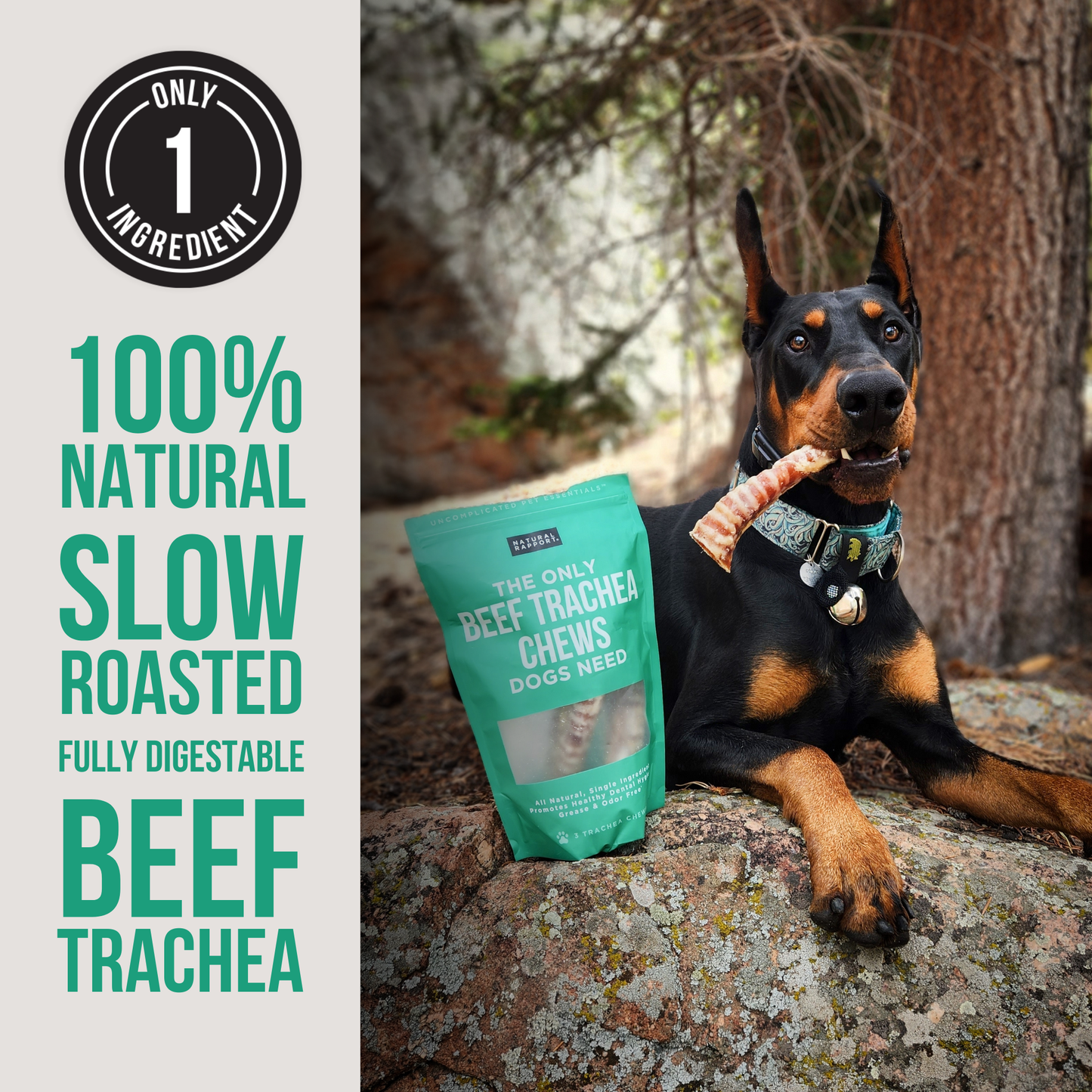 Beef Trachea Chews