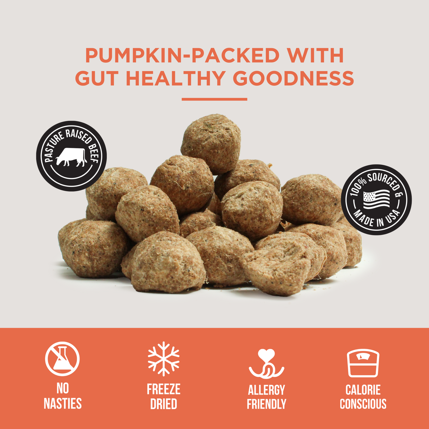 Freeze Dried Pumpkin Meatballs