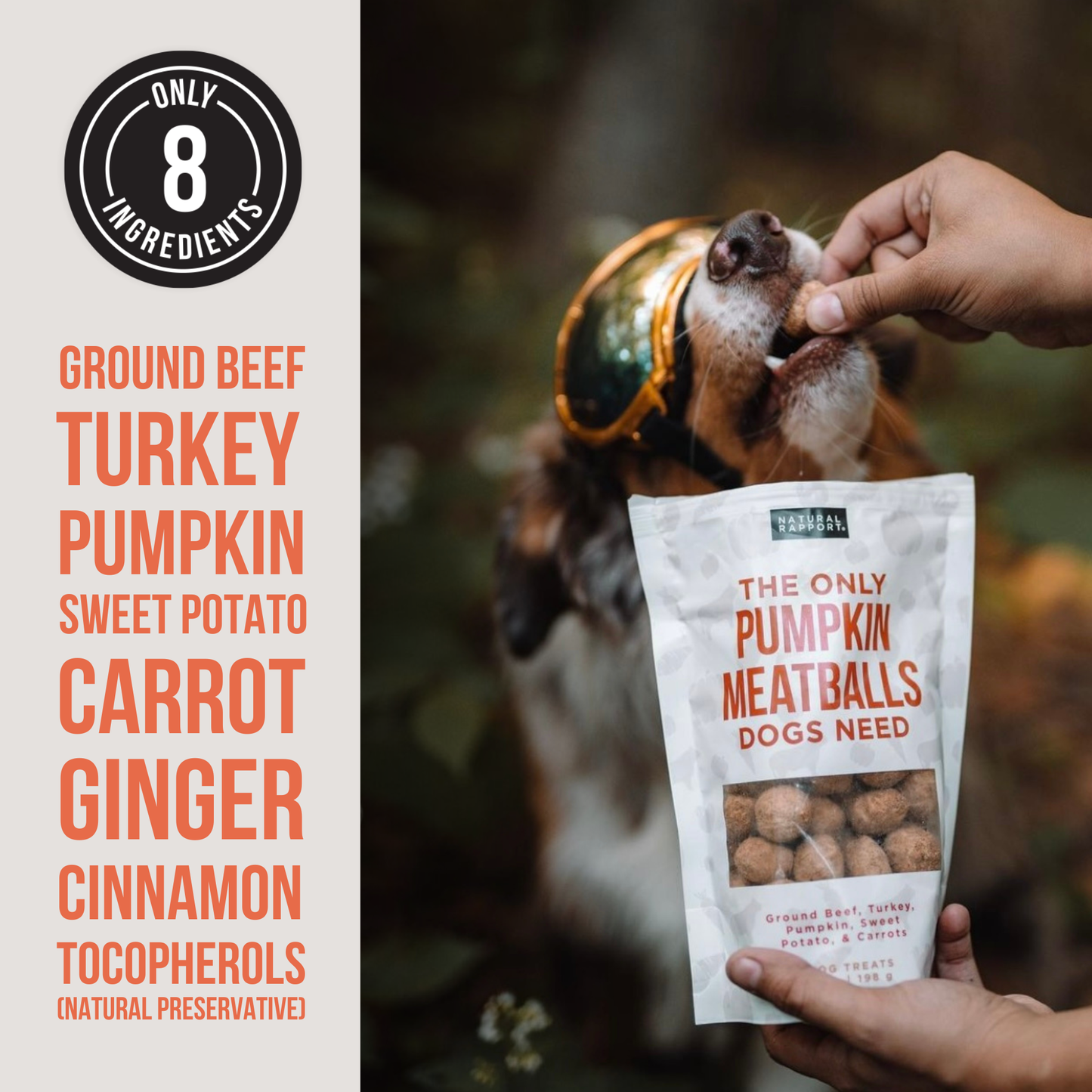 Freeze Dried Pumpkin Meatballs - Snack Size