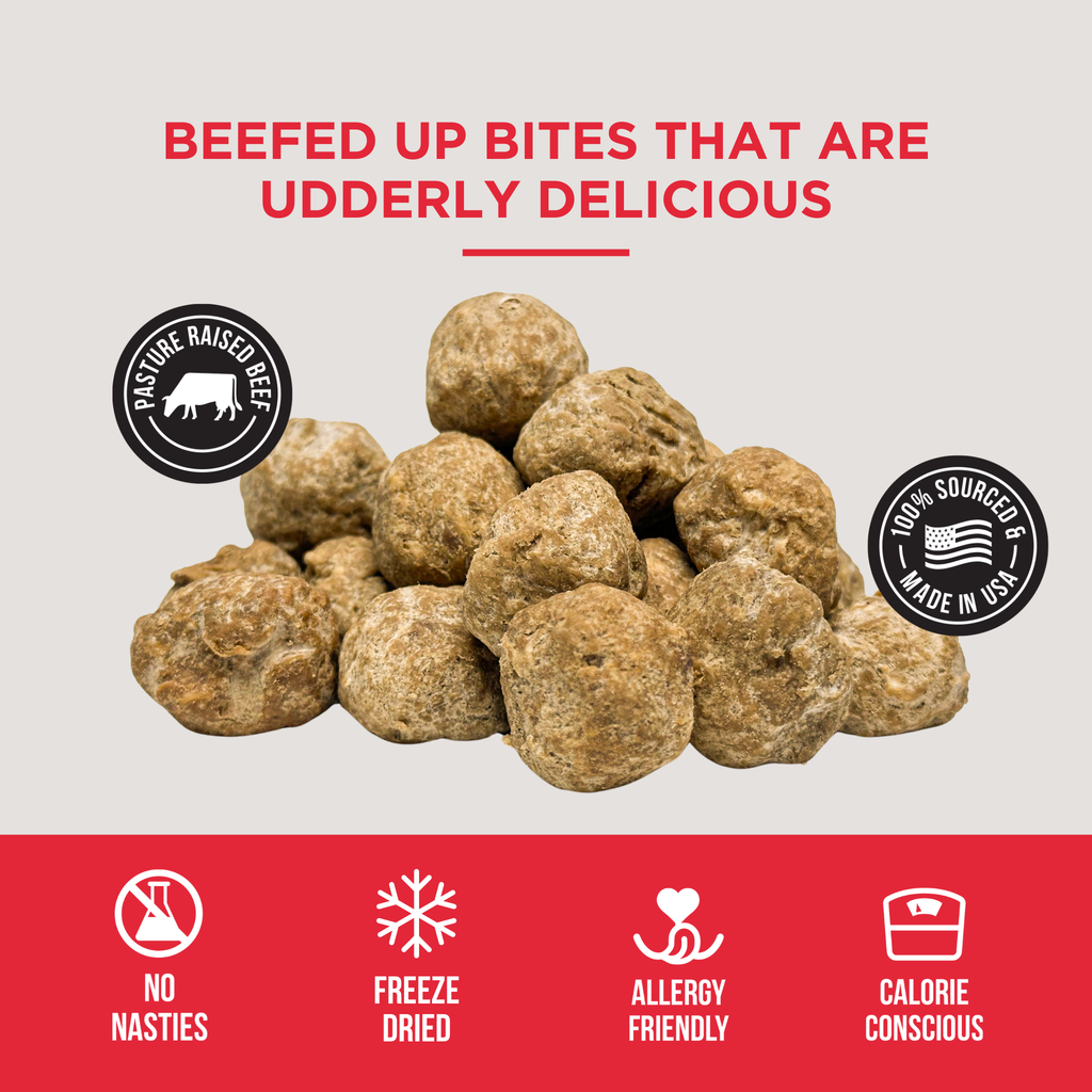 Freeze Dried Beef Meatballs