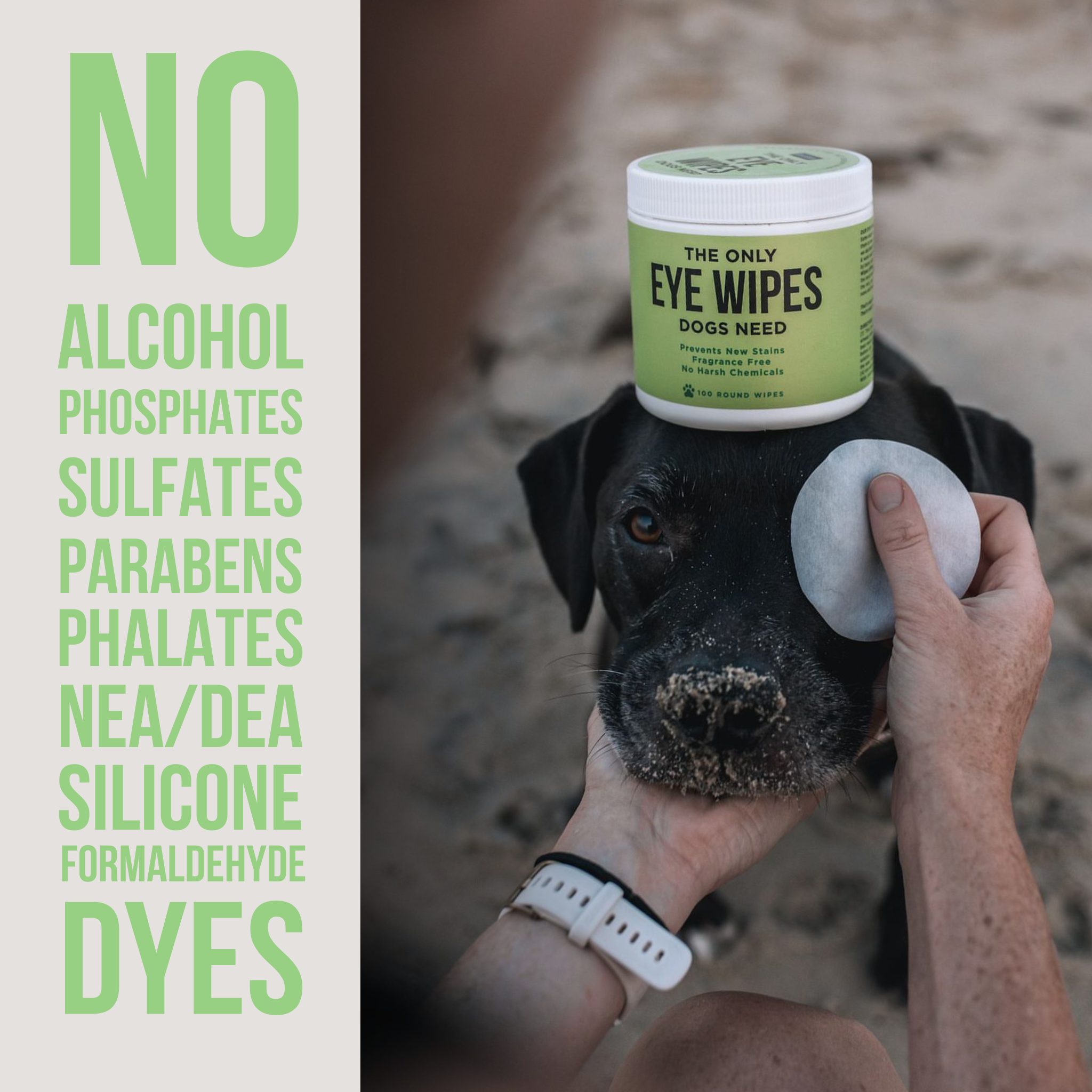 Eye Wipes for Dogs