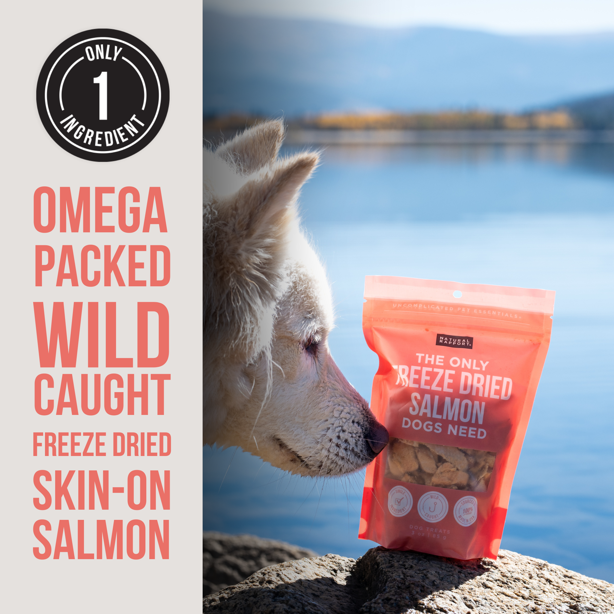 Freeze Dried Salmon Bites