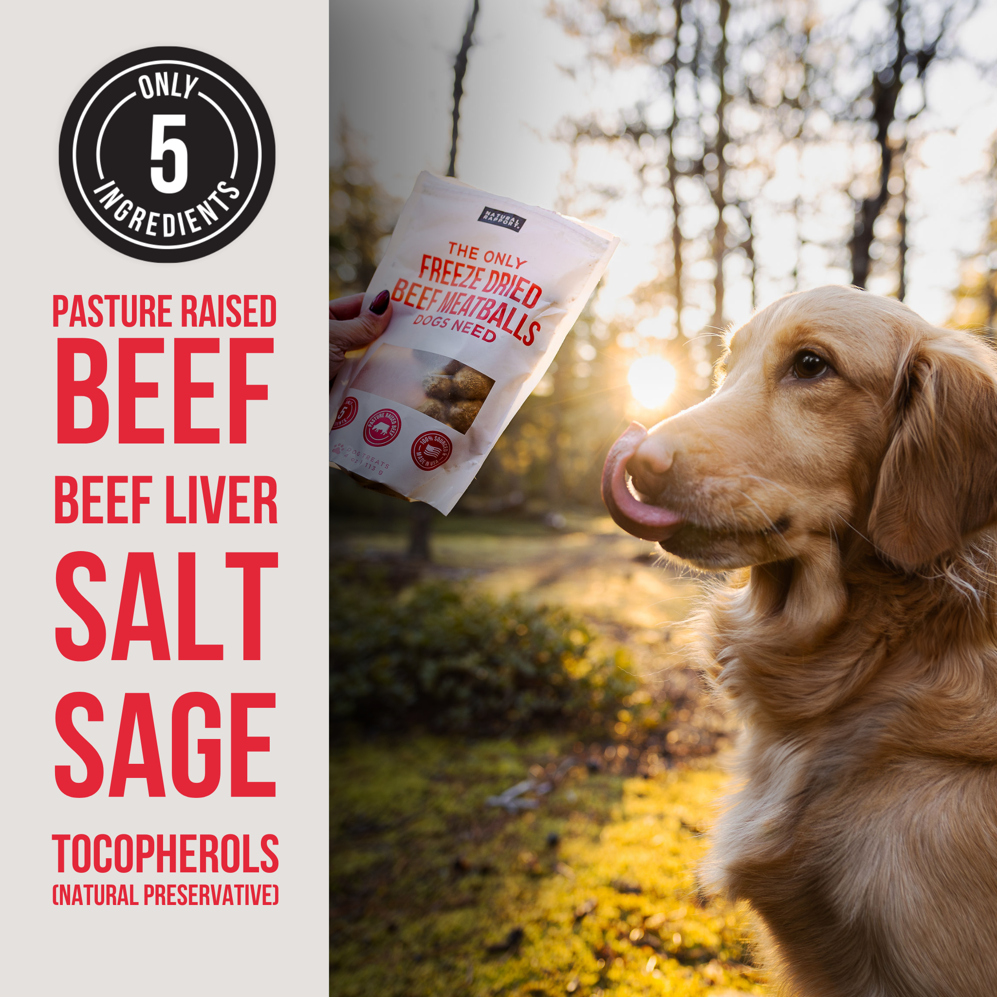 Freeze Dried Beef Meatballs