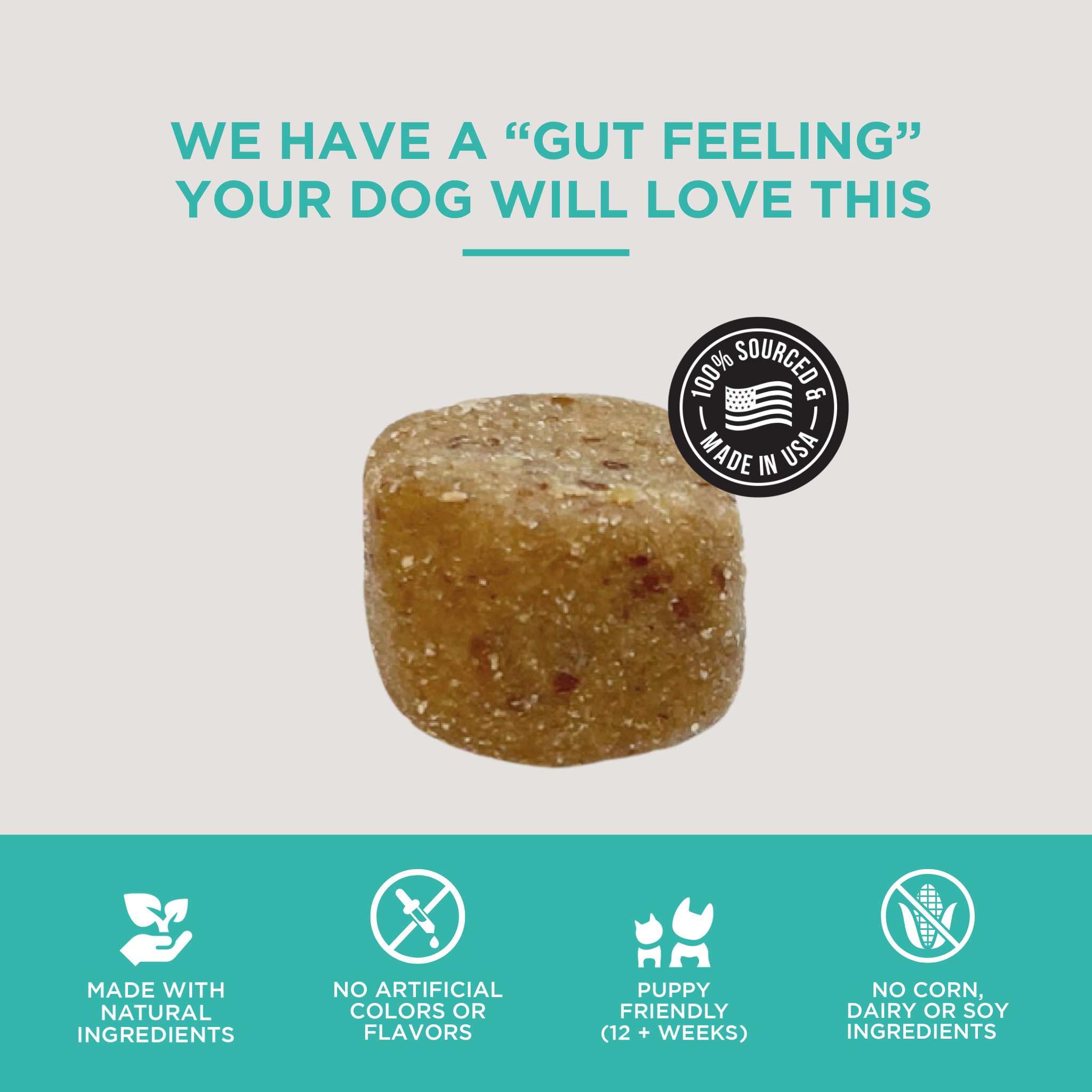 Digestive Support Soft Chews for Dogs 12 ct