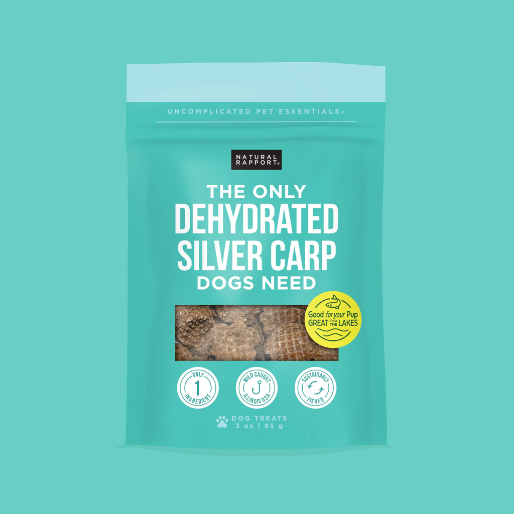 Silver Carp Chips