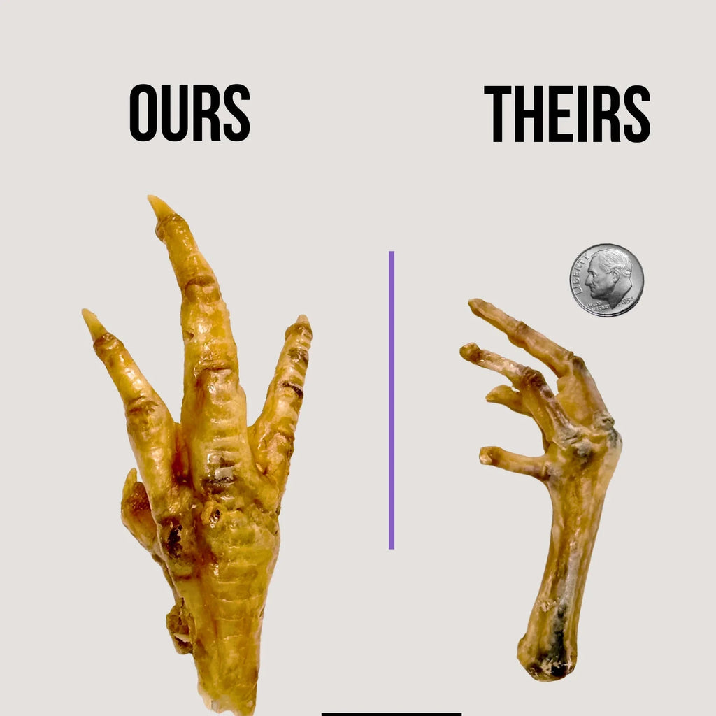 Dehydrated Chicken Feet