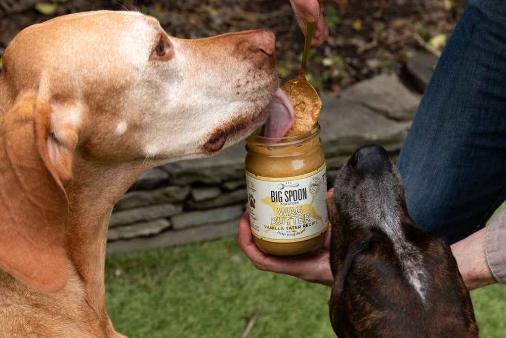 Two dogs eagerly licking a jar of peanut butter held by a person outdoors.