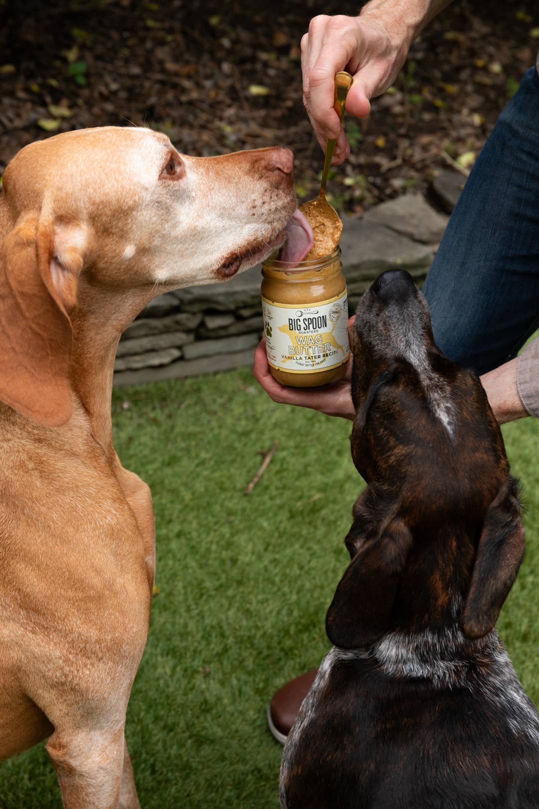 Vanilla Tater Wag Butter - Seasonal