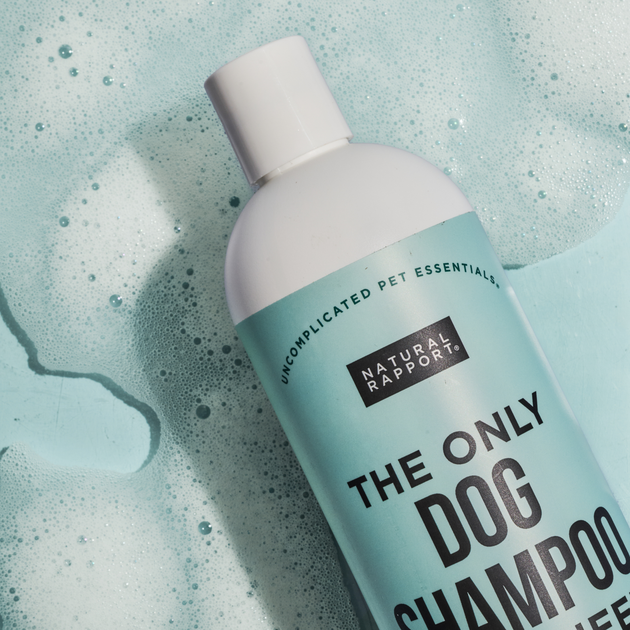 Dog Shampoo - Travel Size