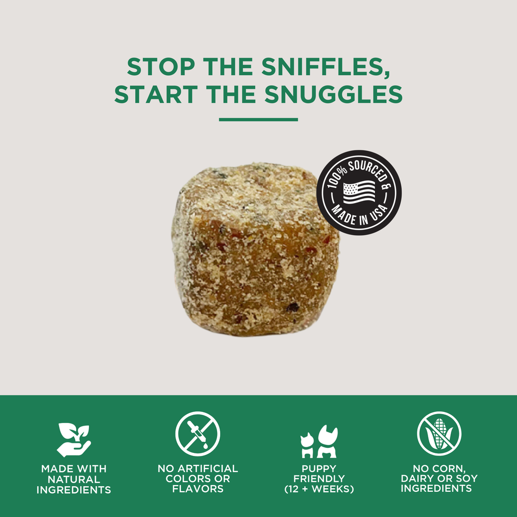 Allergy Soft Chews for Dogs
