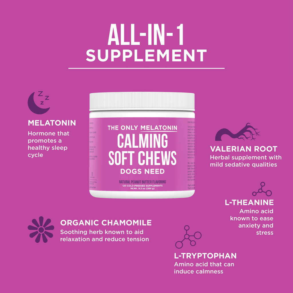 Melatonin Calming Soft Chews for Dogs - 12 ct