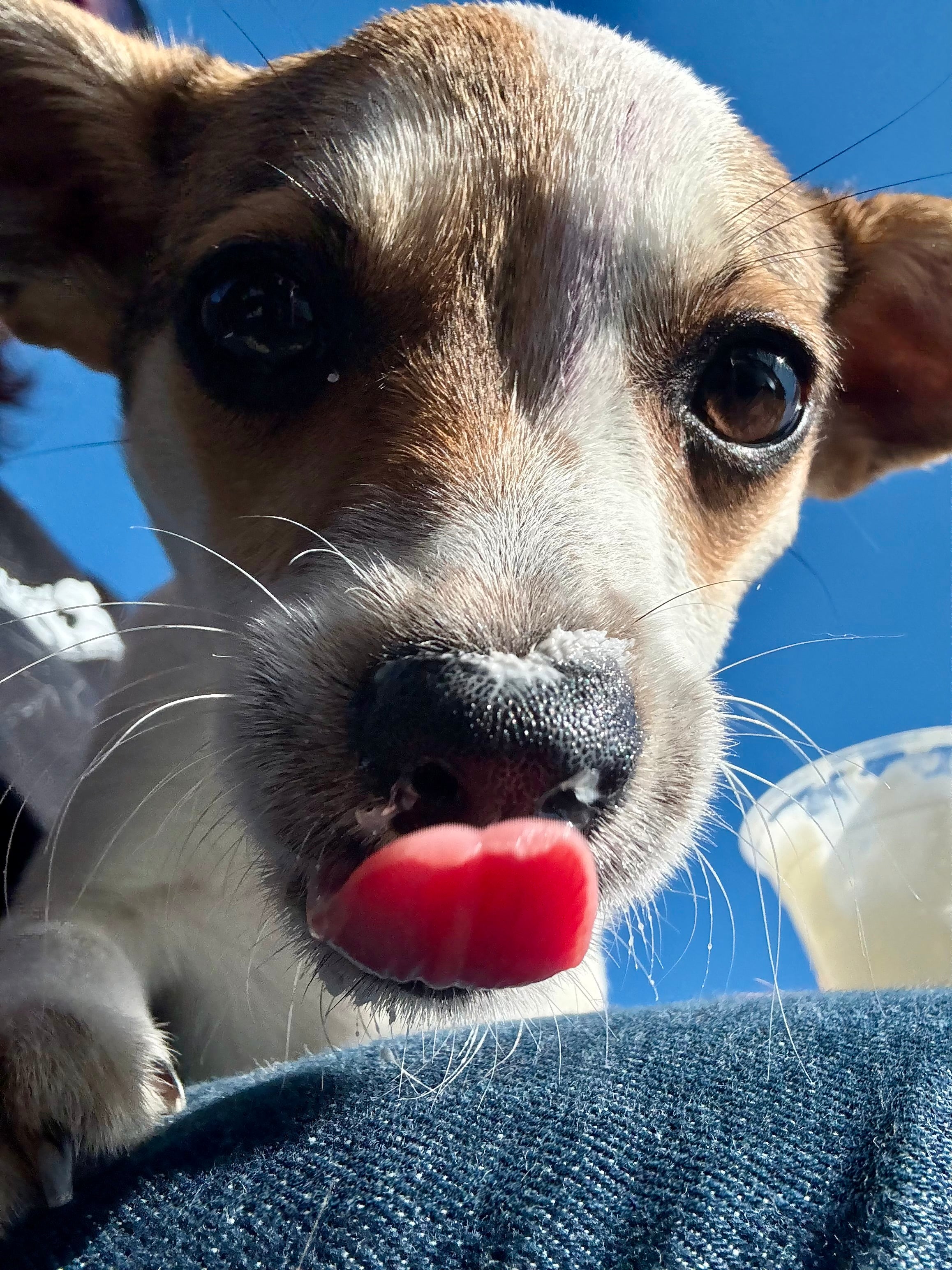 Scrumptious Shelter Snacks