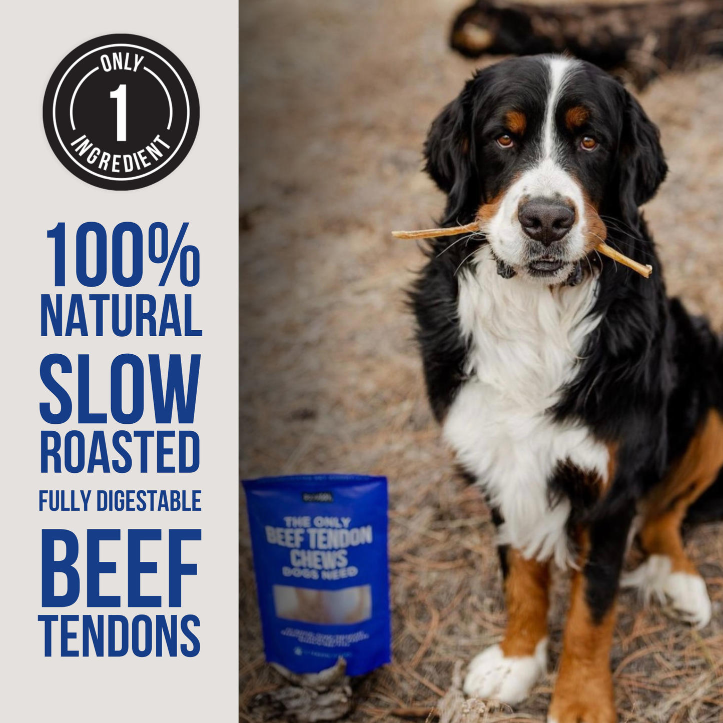 Beef Tendon Chews