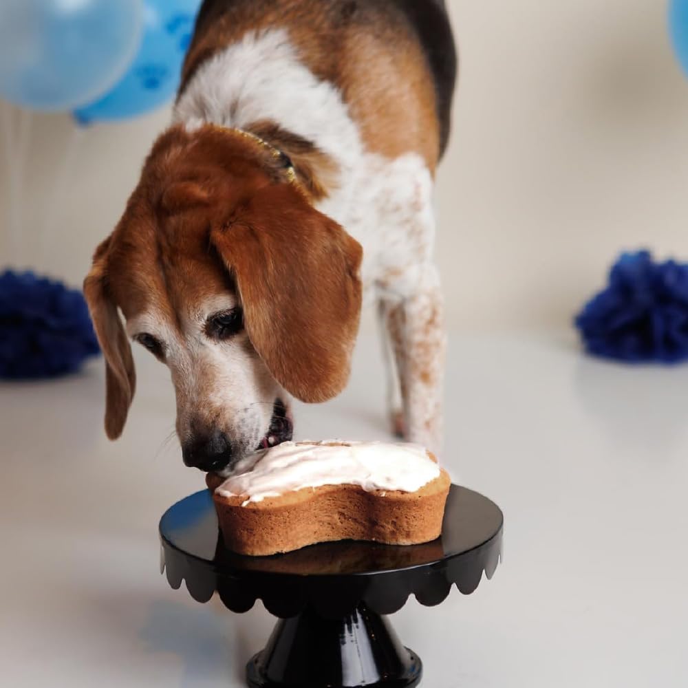 Dog Birthday Cake Kit: Peanut Butter (wheat-free)