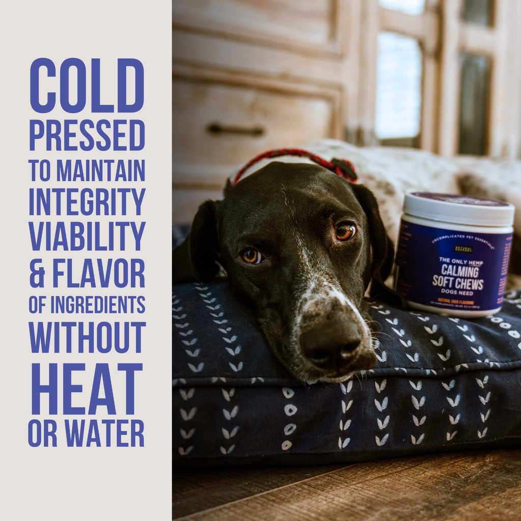 Hemp Calming Soft Chews for Dogs 12 ct