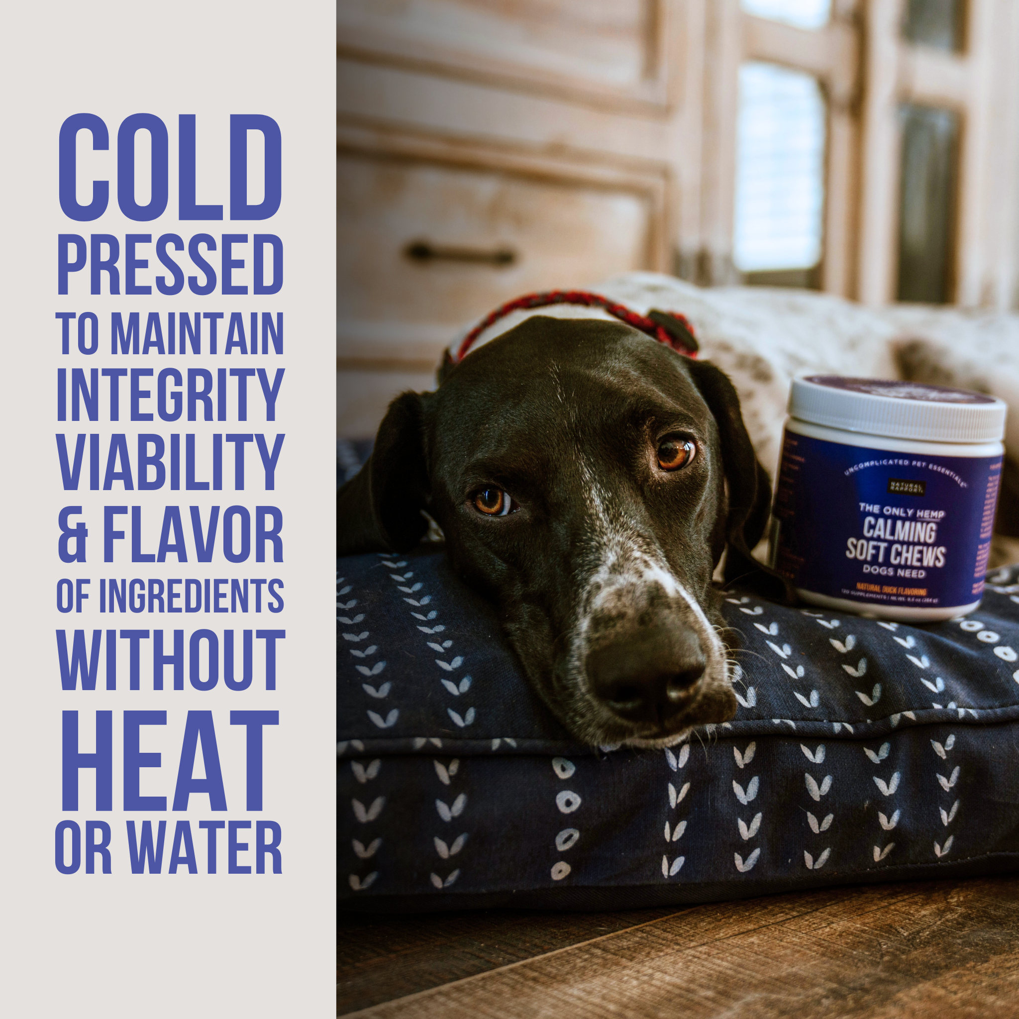 Hemp Calming Soft Chews for Dogs 12 ct