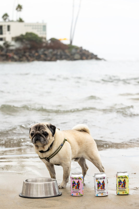 Tailwagger Craft Dog Beer