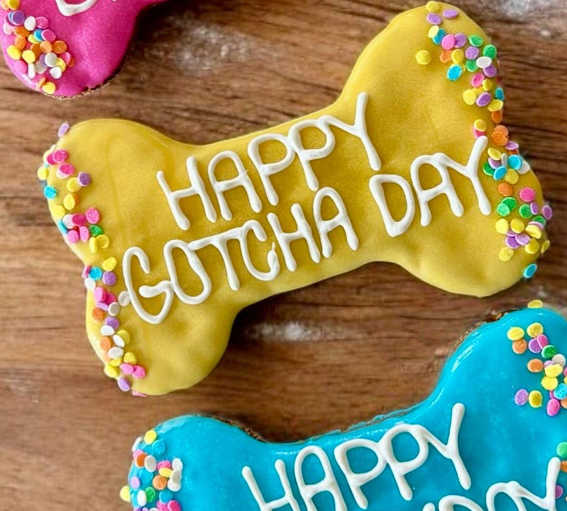 Colorful Confetti Gotcha Day Biscuit (Large)