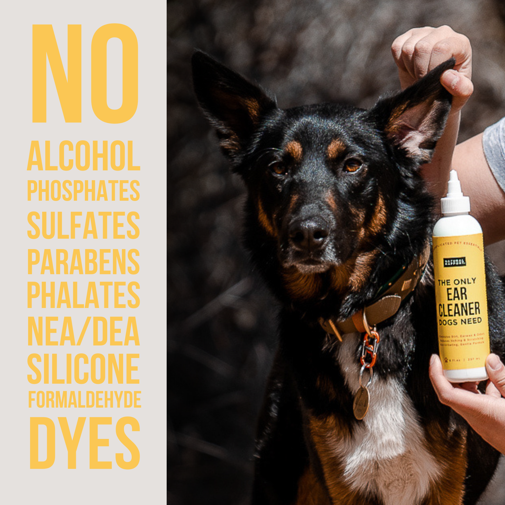 The Only Ear Cleaner Dogs Need - 3 ounce