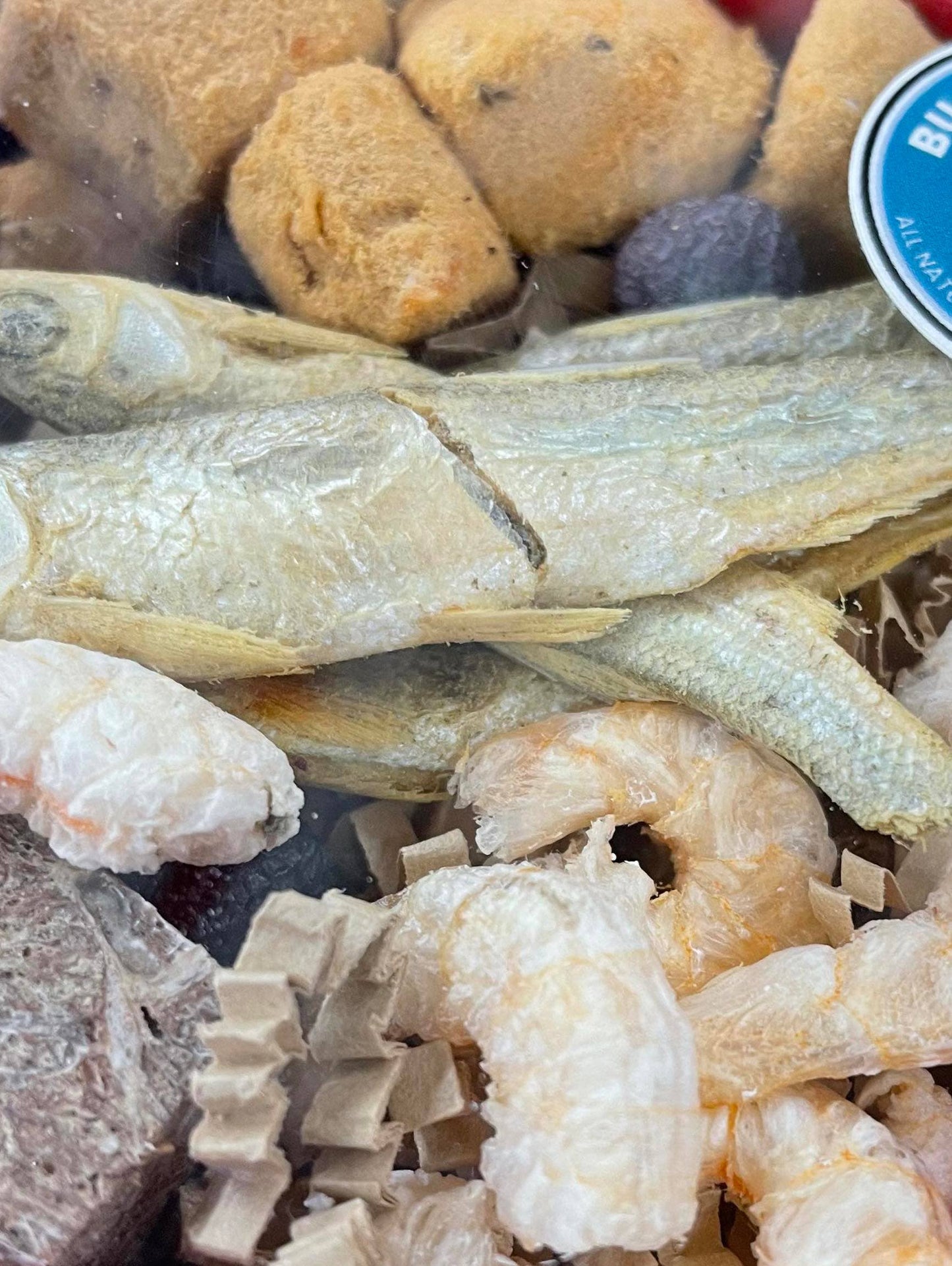 Surf & Turf Box for Cats and Dogs!