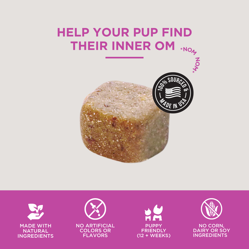 Melatonin Calming Soft Chews for Dogs - 12 ct