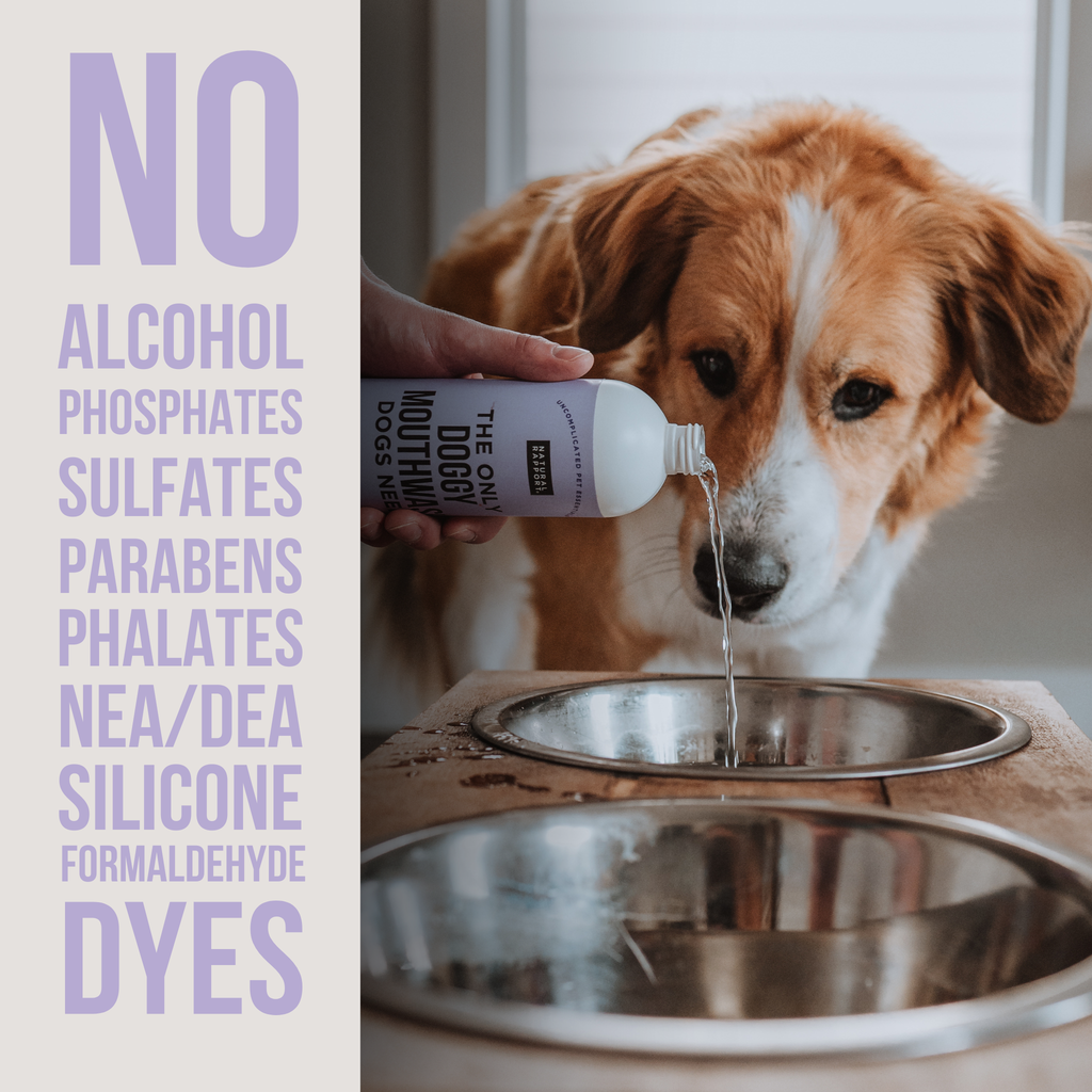 Doggy Mouthwash - 3 ounce