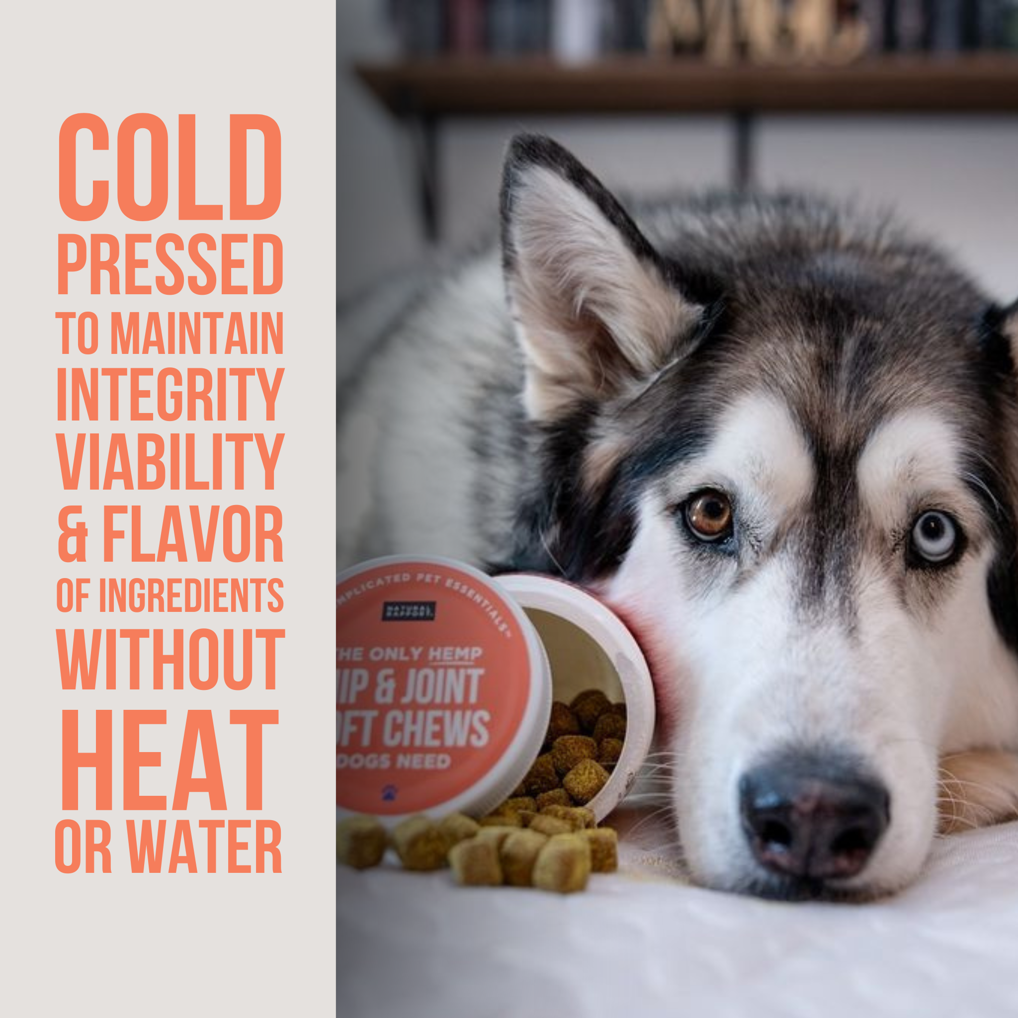 Hemp Hip & Joint Soft Chews for Dogs -12 ct