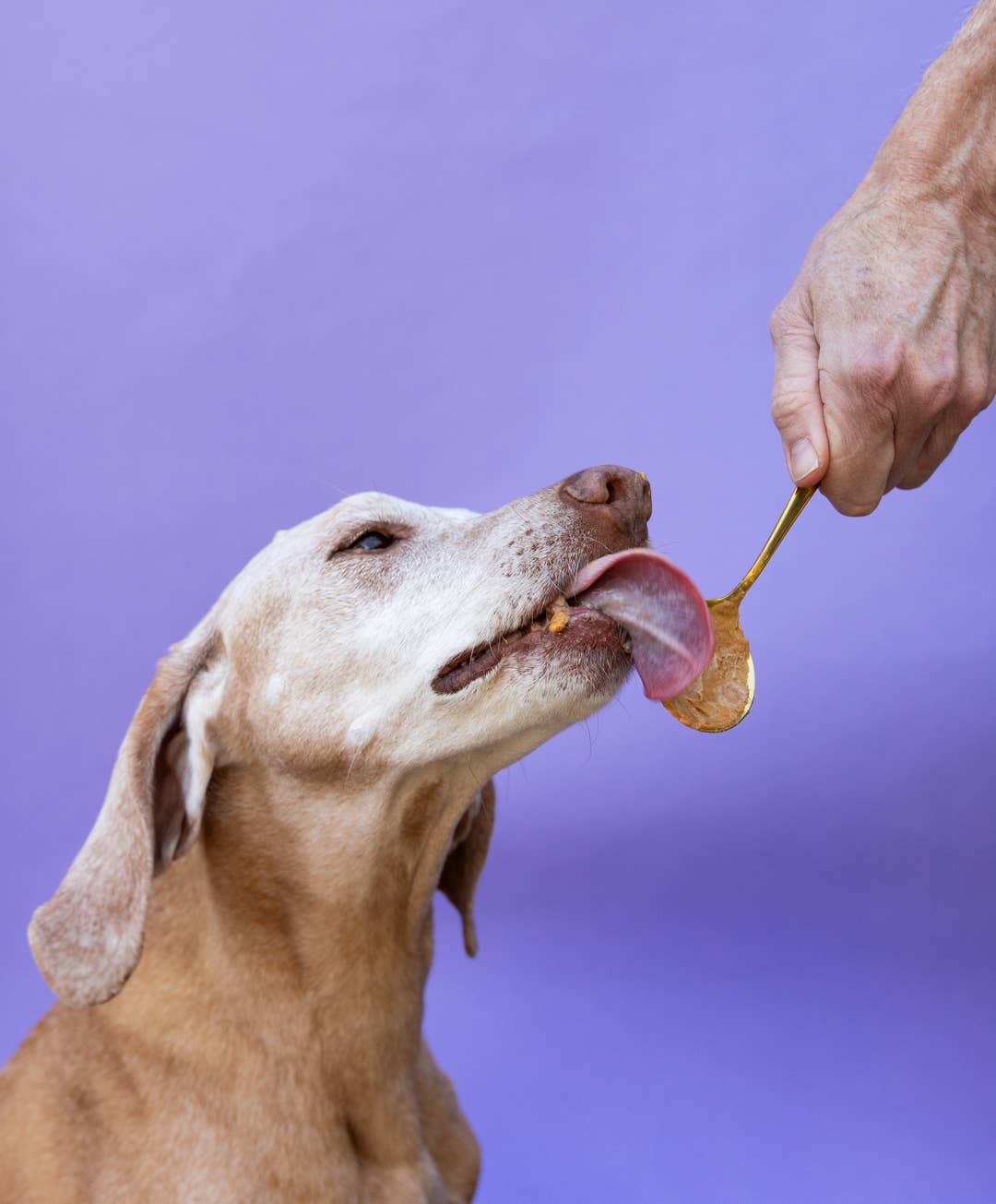 Banana Flax Wag Butter