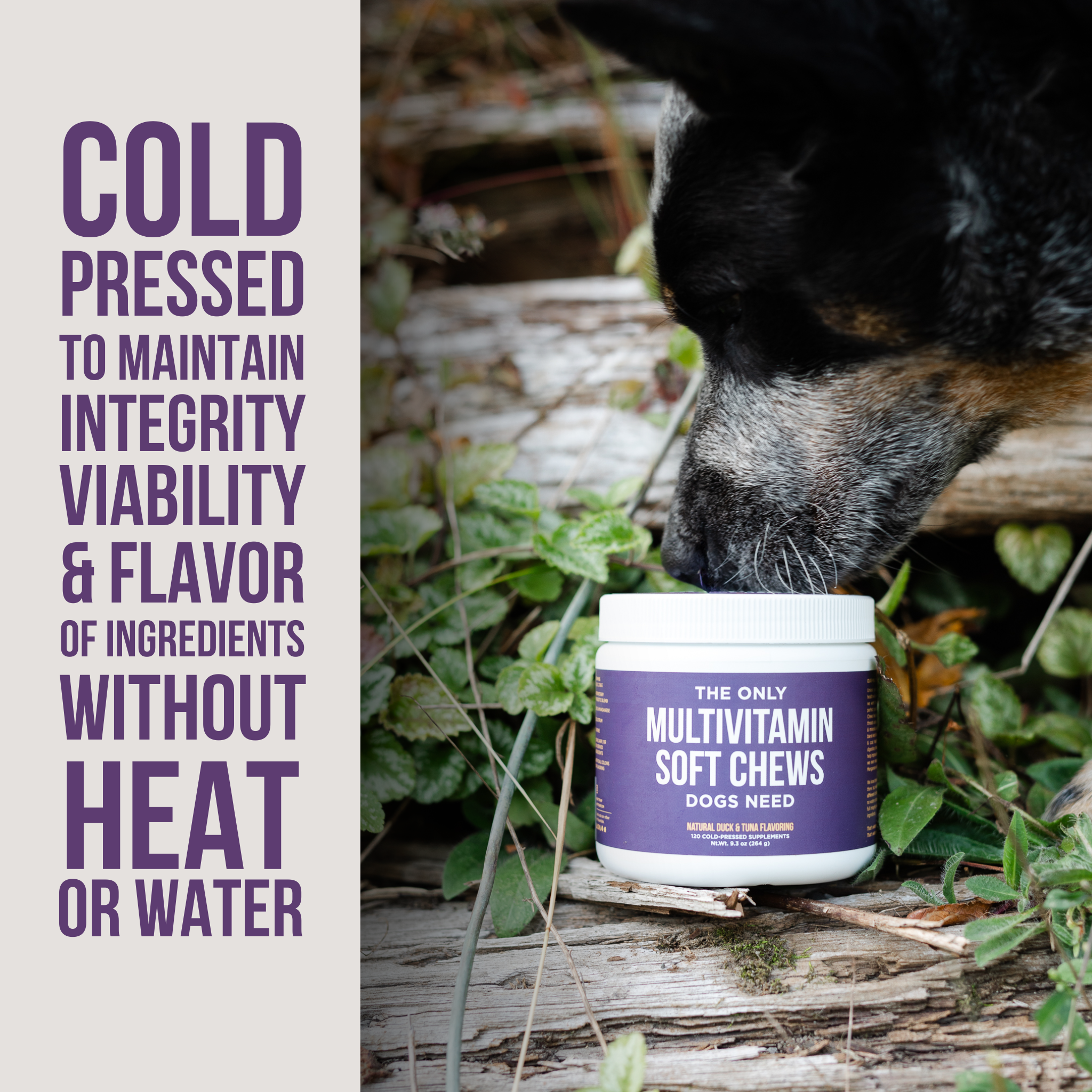 Multivitamin Soft Chews for Dogs 12 ct.