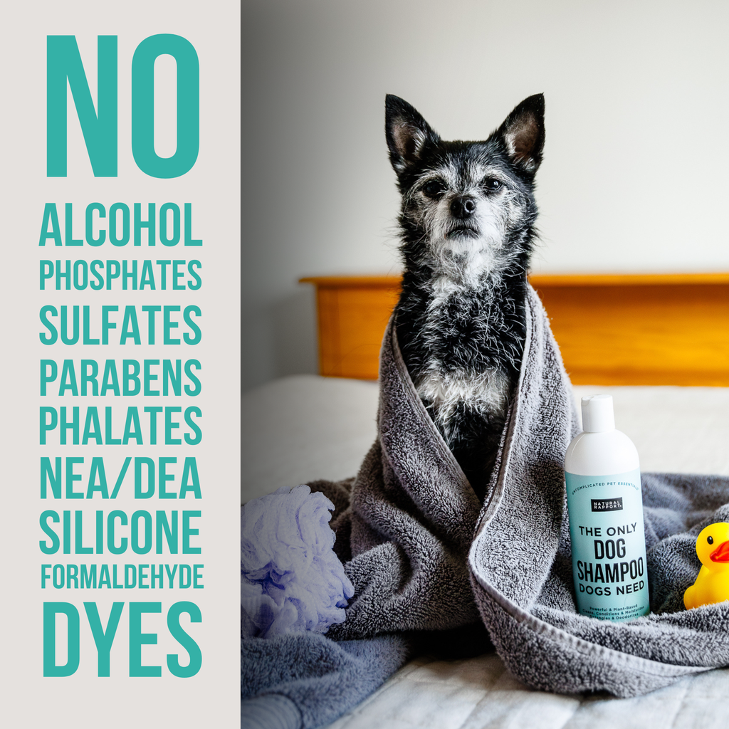 Dog Shampoo - Travel Size