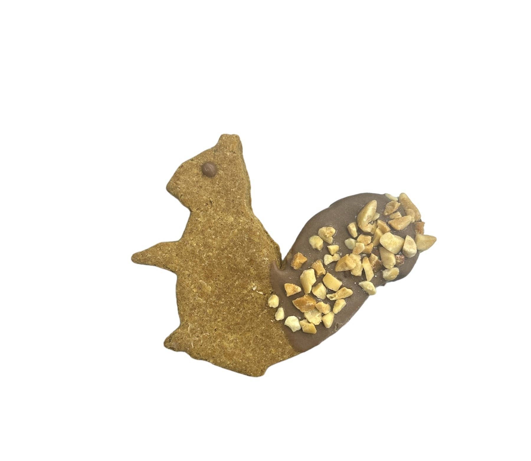 Squirrel Biscuit - Easy break
