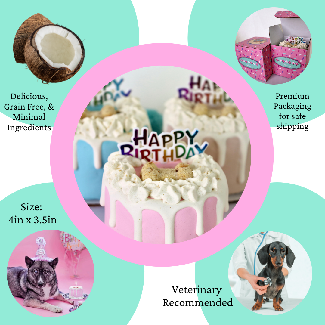 Birthday Cake Paw-ty Package - Pink