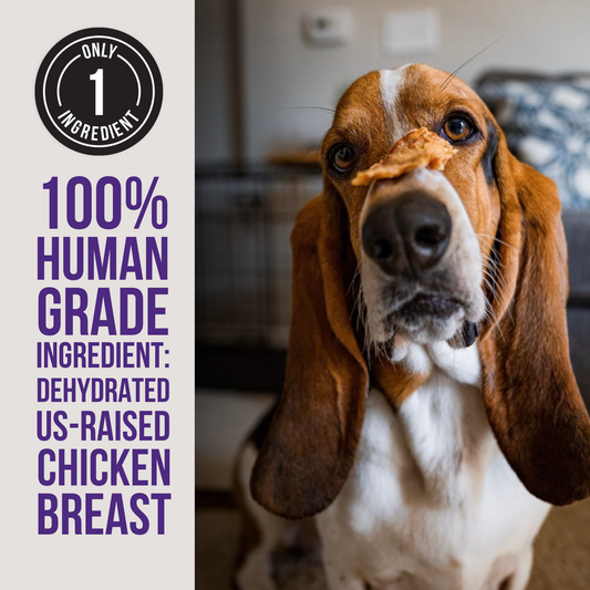 Dehydrated Chicken Jerky