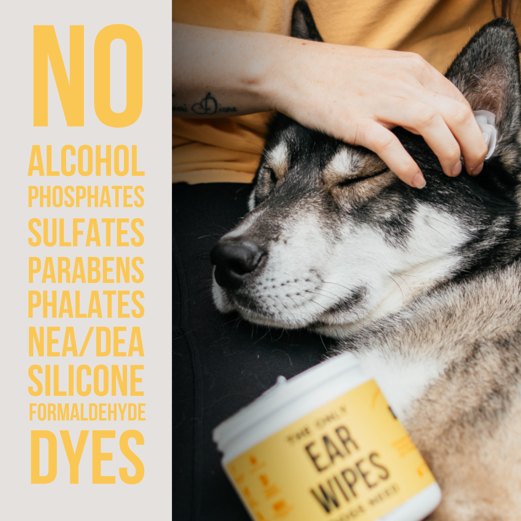 Ear Wipes for Dogs