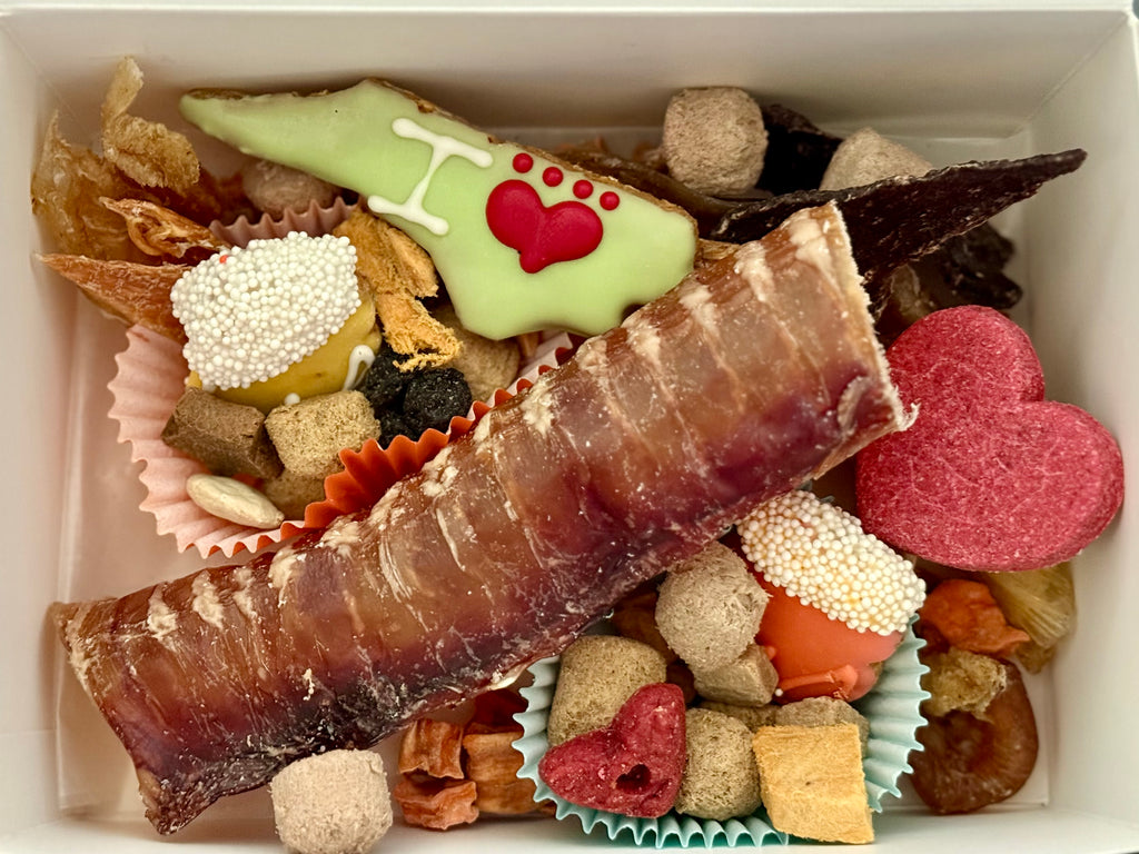 Celebration Barkuterie Box - XL