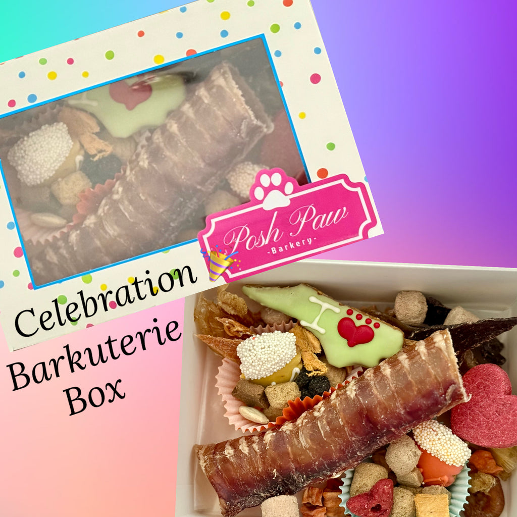 Celebration Barkuterie Box - XL