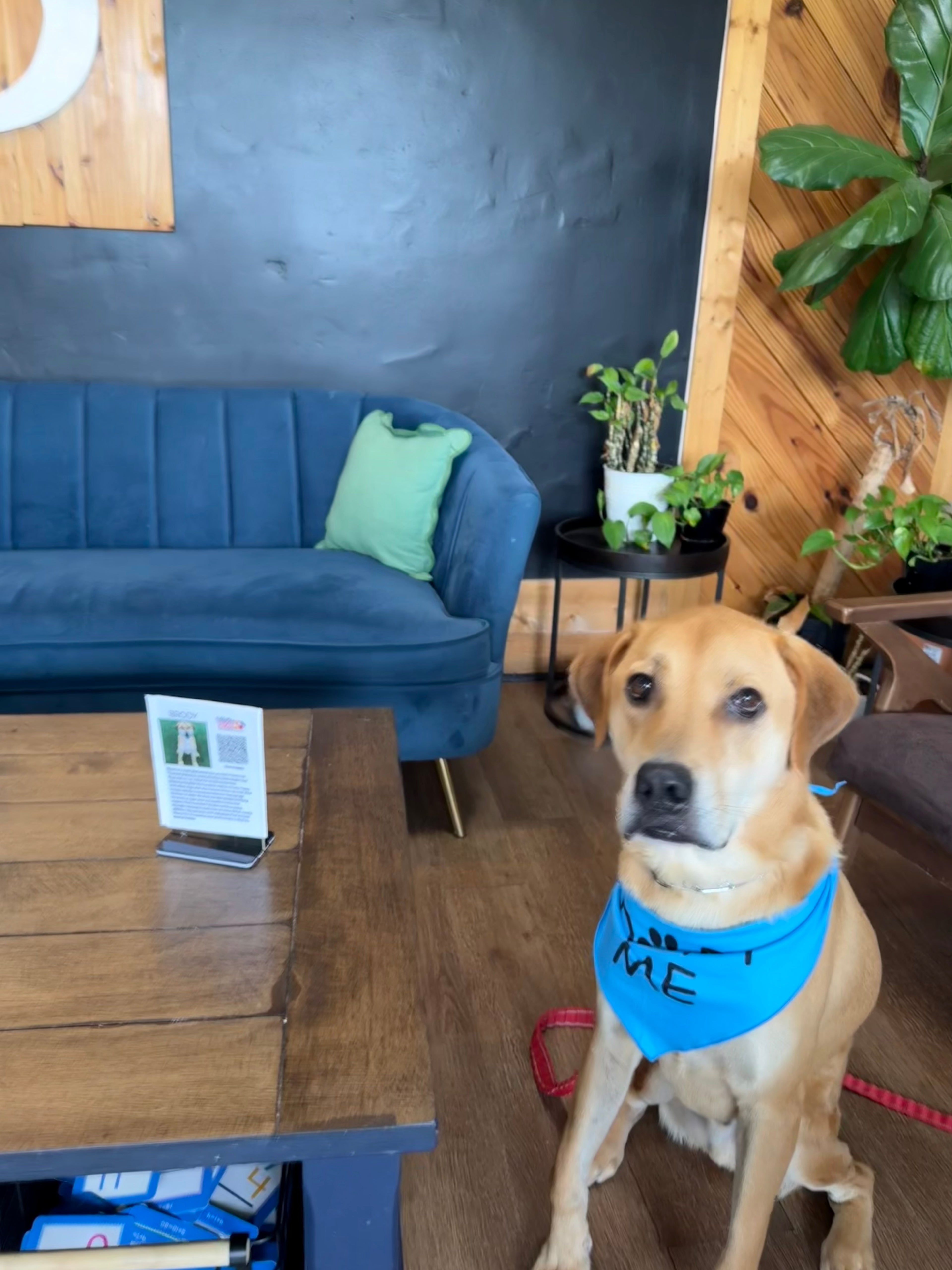 Scrumptious Shelter Snacks