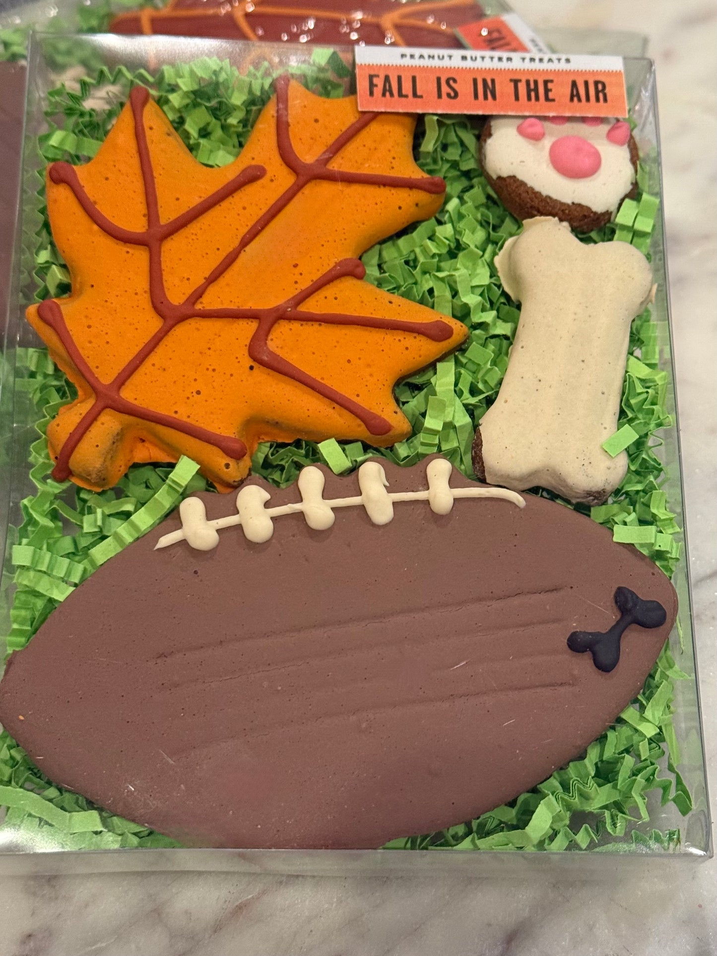Fall is in the Air Box
