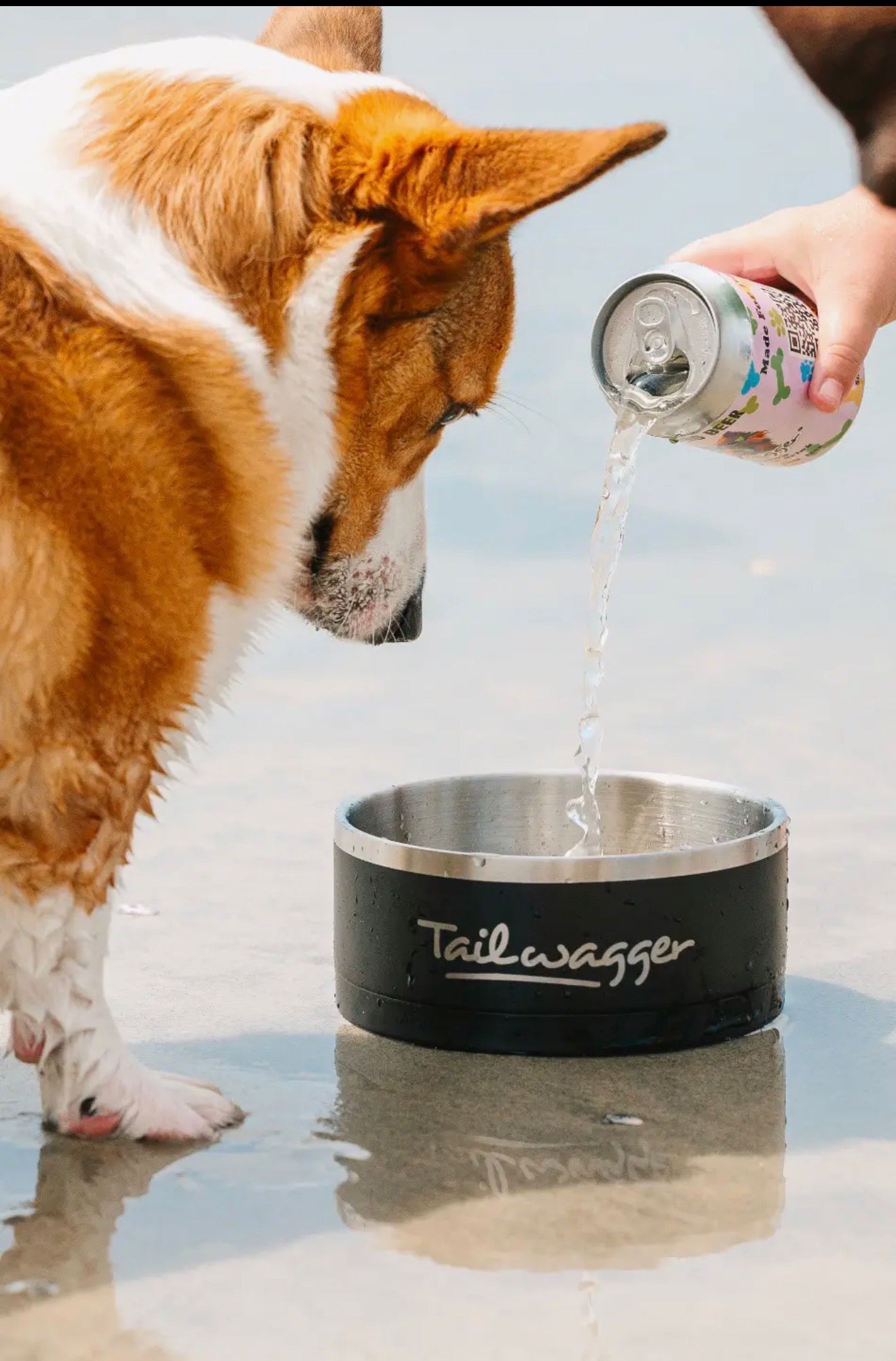 Tailwagger Craft Dog Beer