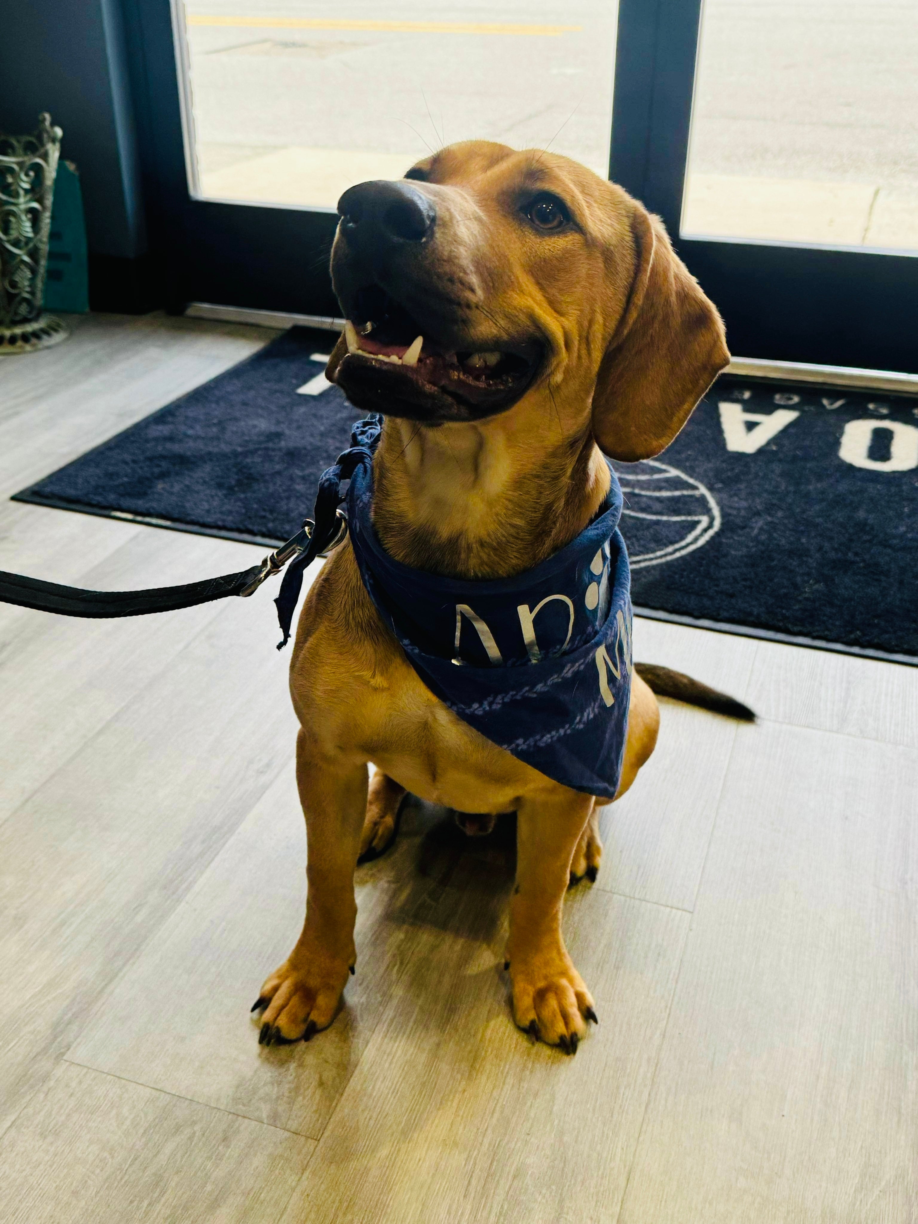 Scrumptious Shelter Snacks