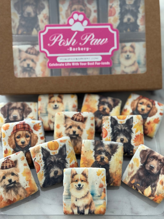 Autumn Dogs Treat Box