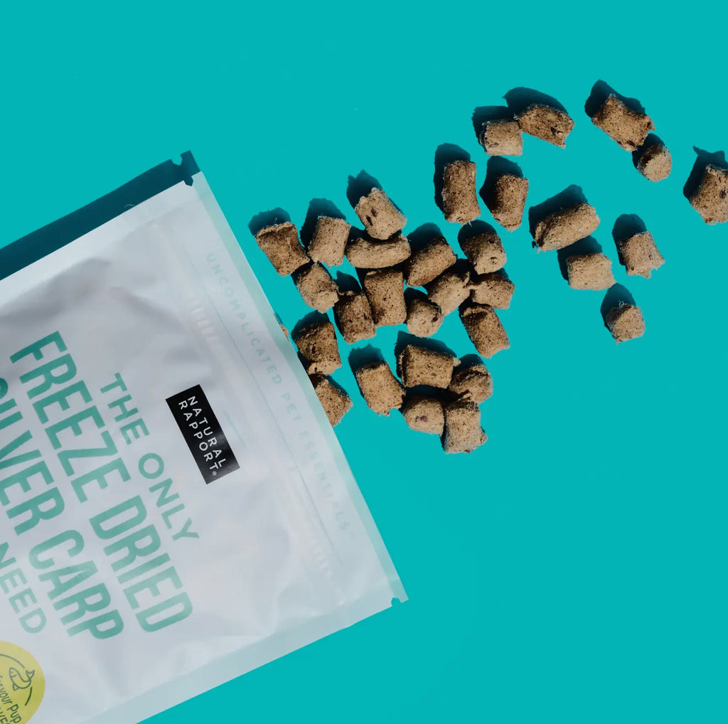 Freeze Dried Silver Carp